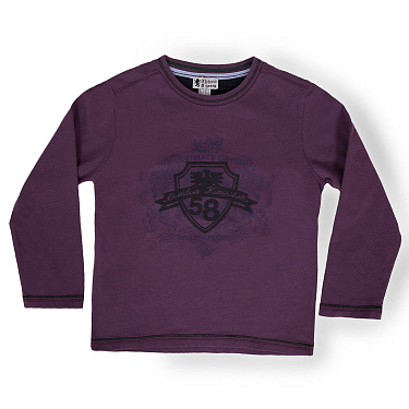 Джемпер для мальчиков Chicco 53324.83