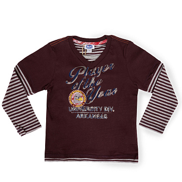 Джемпер для мальчиков Chicco 53265.85